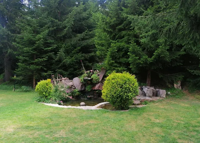 Oxygen Time דירה *